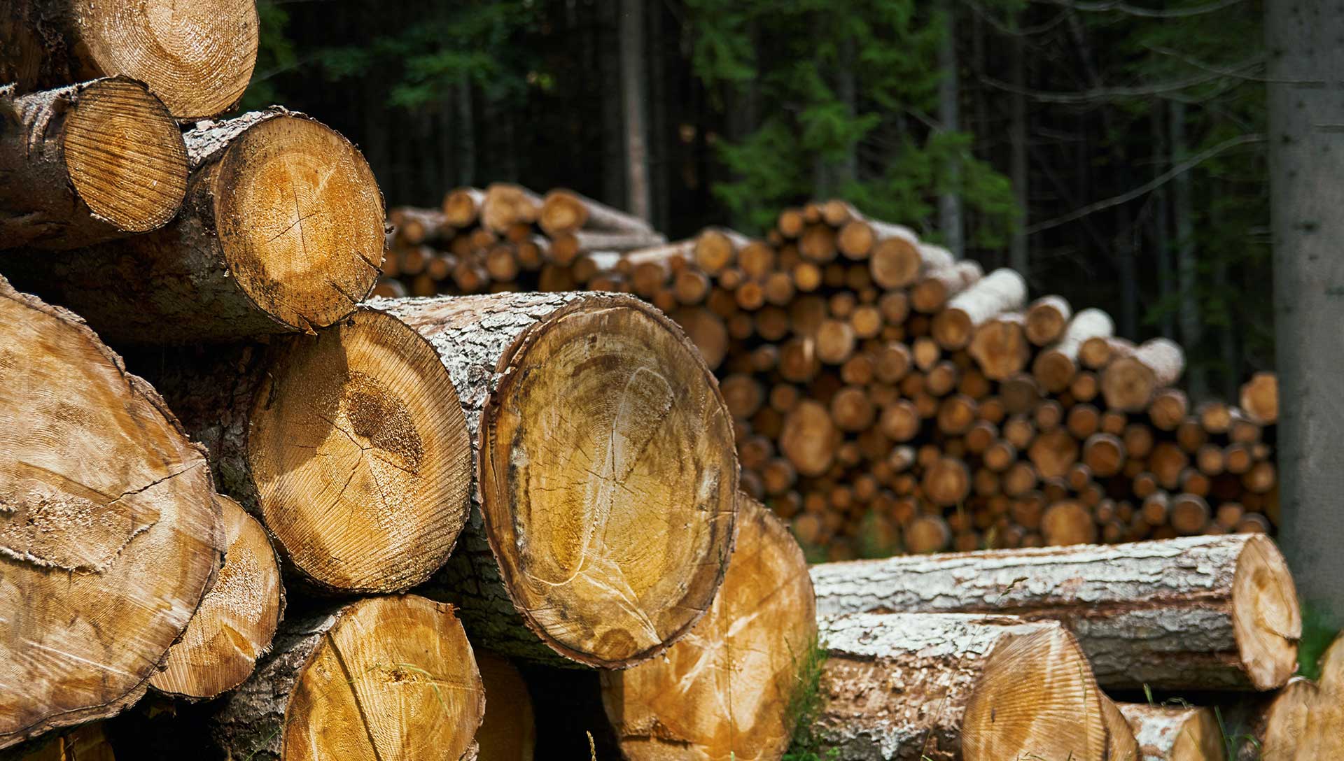 Handcrafted Furniture – Umeå